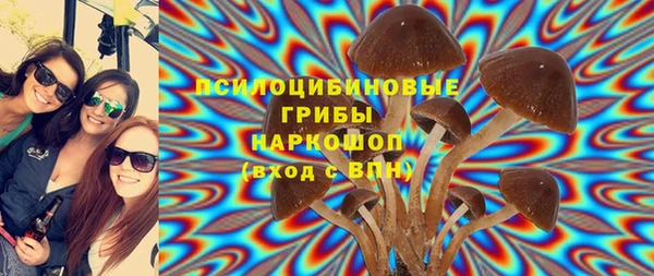 тгк Коряжма