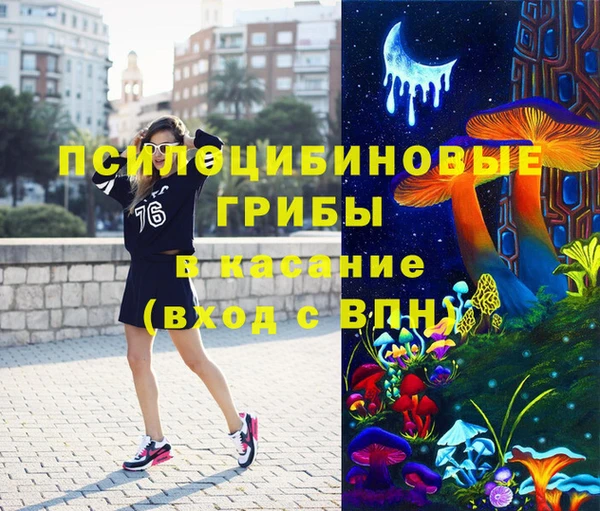 круглые Корсаков