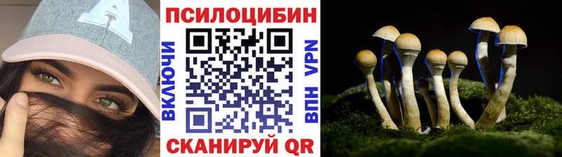 Купить где  Тольятти  Галлюциногенные грибы Psilocybe 